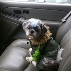 Meet your Posher, John